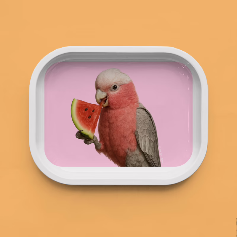 Trinket Tray - Galah