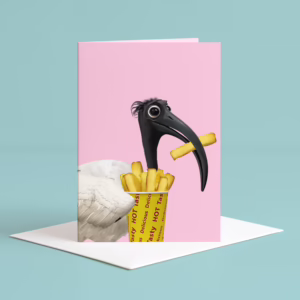 Australian Animal Greeting Card - Ibis