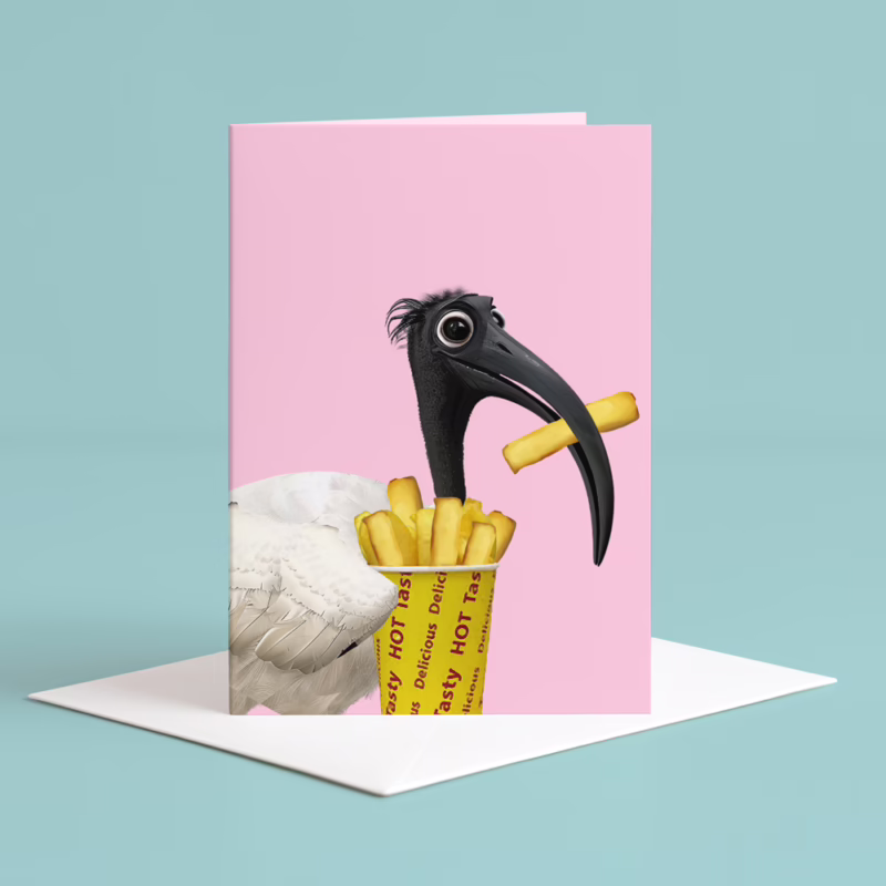 Australian Animal Greeting Card - Ibis