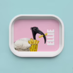 Trinket Tray - Ibis