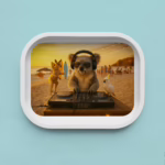 Trinket Tray - Beach Party Koala