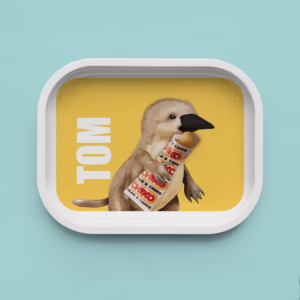 Trinket Tray - Platypus