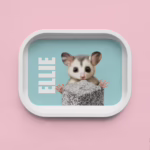 Trinket Tray - Possum