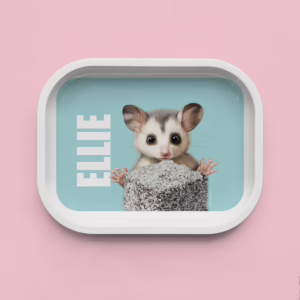 Trinket Tray - Possum