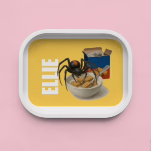 Trinket Tray - Redback Spider