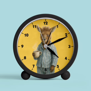Desk Alarm Clock - Wake Up Kangaroo