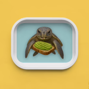 Trinket Tray - Sea Turtle