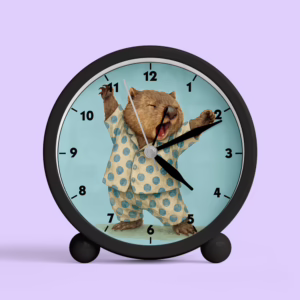 Desk Alarm Clock - Wake Up Wombat