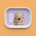 Trinket Tray - Wombat