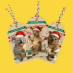 Christmas Gift Tag Set - Aussie Animals Sticky Situation