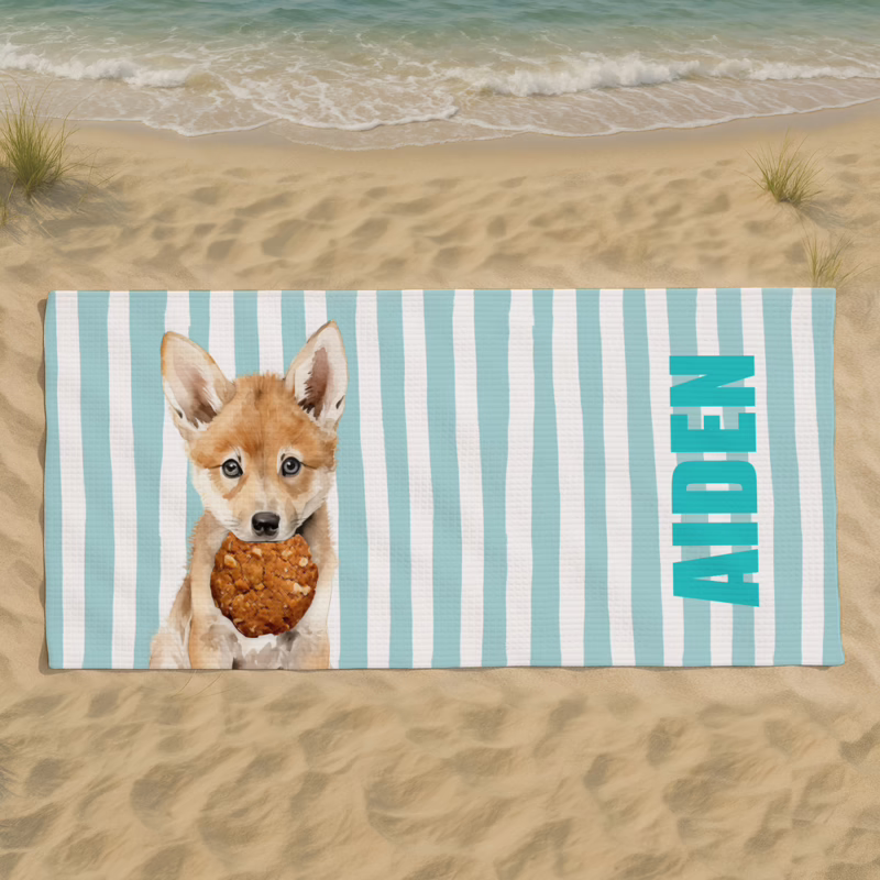Sand Free Beach & Gym Towels - Dingo