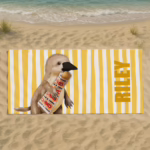 Sand Free Beach & Gym Towels - Platypus